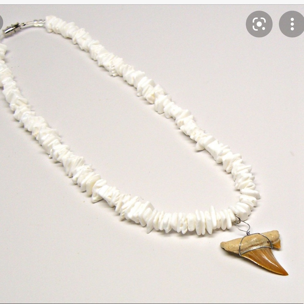 Shark Tooth Necklace